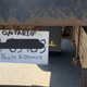 Image for article titled Canadians Keep Making Hilariously Bad Fake License Plates